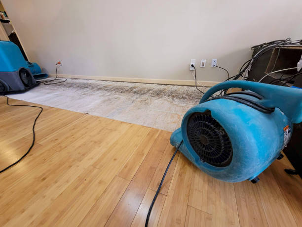 Professional Water Damage Repair technician working in Ephrata, WA